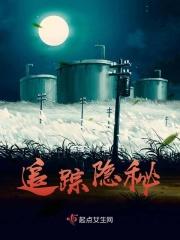 隐秘的追踪