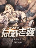 我的冷艳总裁老婆杯酒释兵权