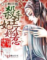 绣花王爷杀手妃