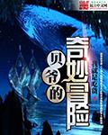 贝爷神奇的探险之旅