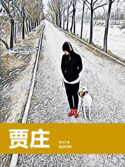 贾庄中学