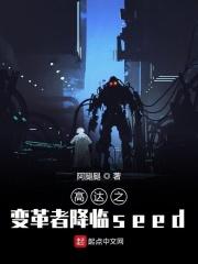 高达之变革者