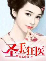 圣手狂医三人二免费